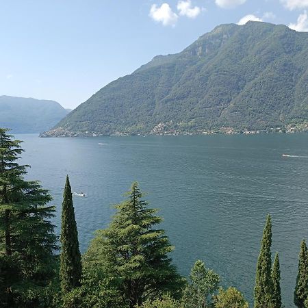 Prestine' Apartment Nesso Bagian luar foto